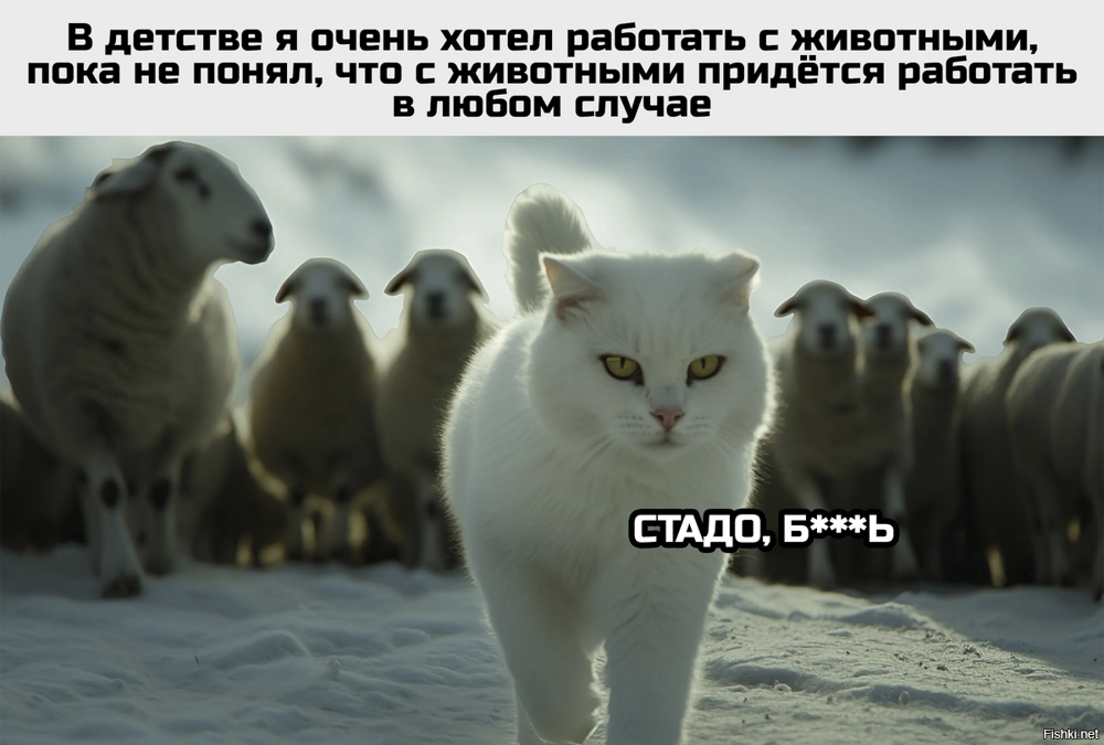 Солянка от 15.06.2025