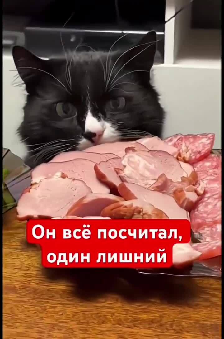 Солянка от 15.06.2025 