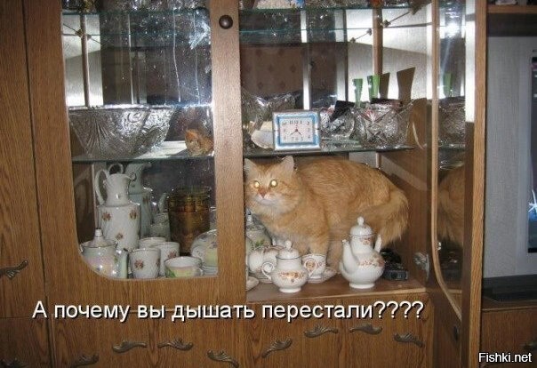 Солянка от 15.06.2025