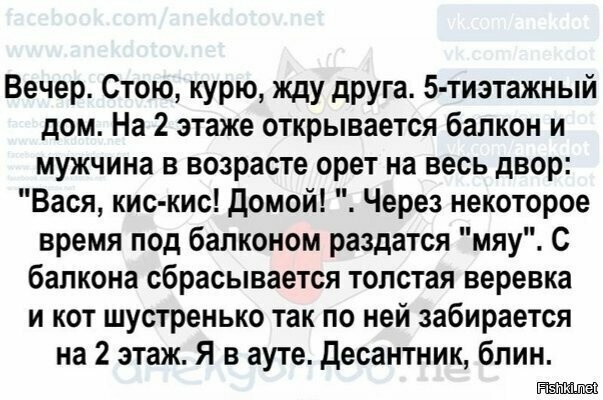 Солянка от 15.06.2025