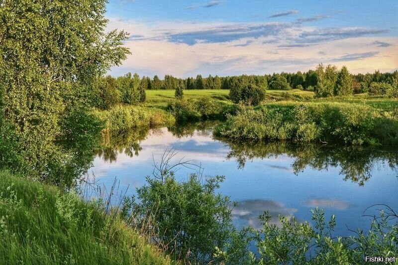 Солянка от 15.06.2025