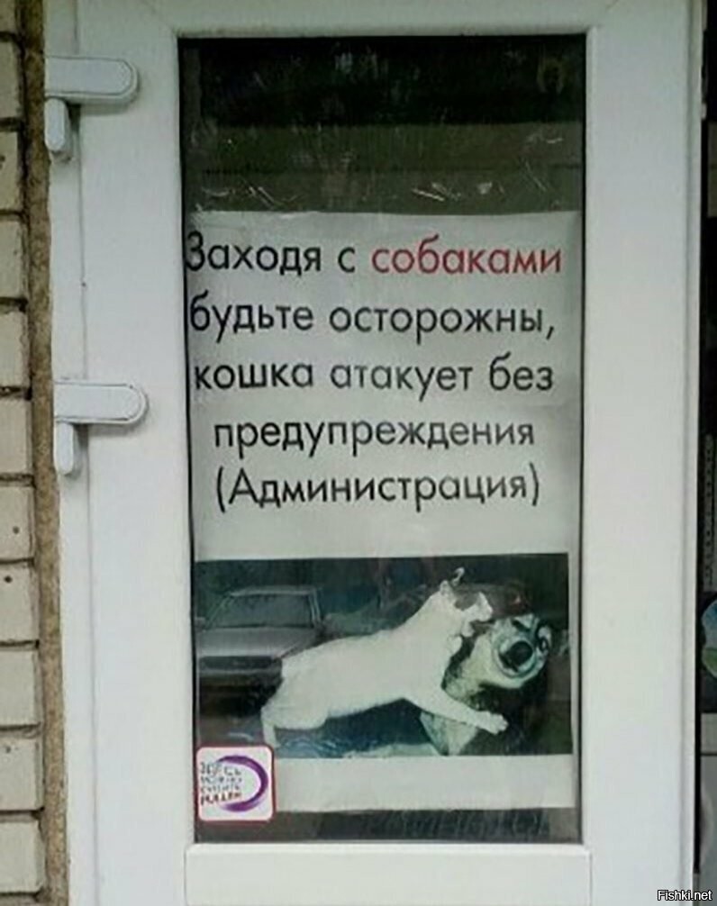Солянка от 15.06.2025