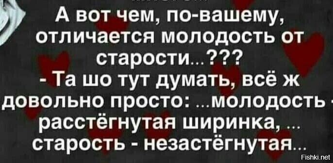 Солянка от 15.06.2025