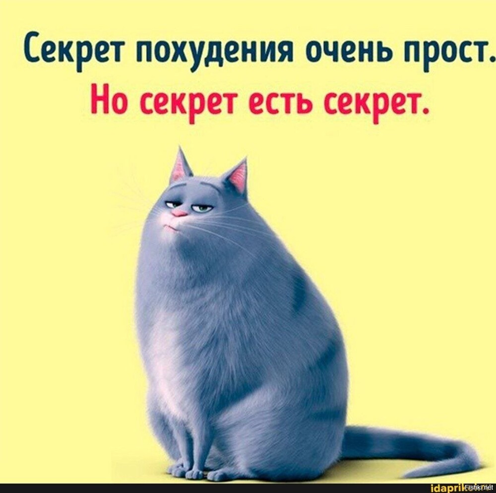 Солянка от 15.06.2025