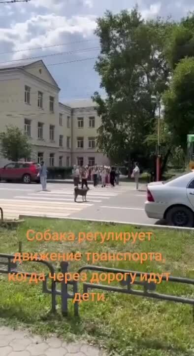 Солянка от 15.06.2025 