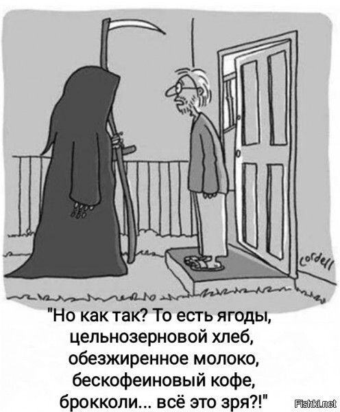 Солянка от 15.06.2025