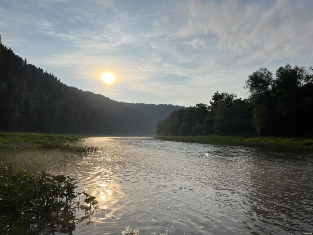Речка порадовала