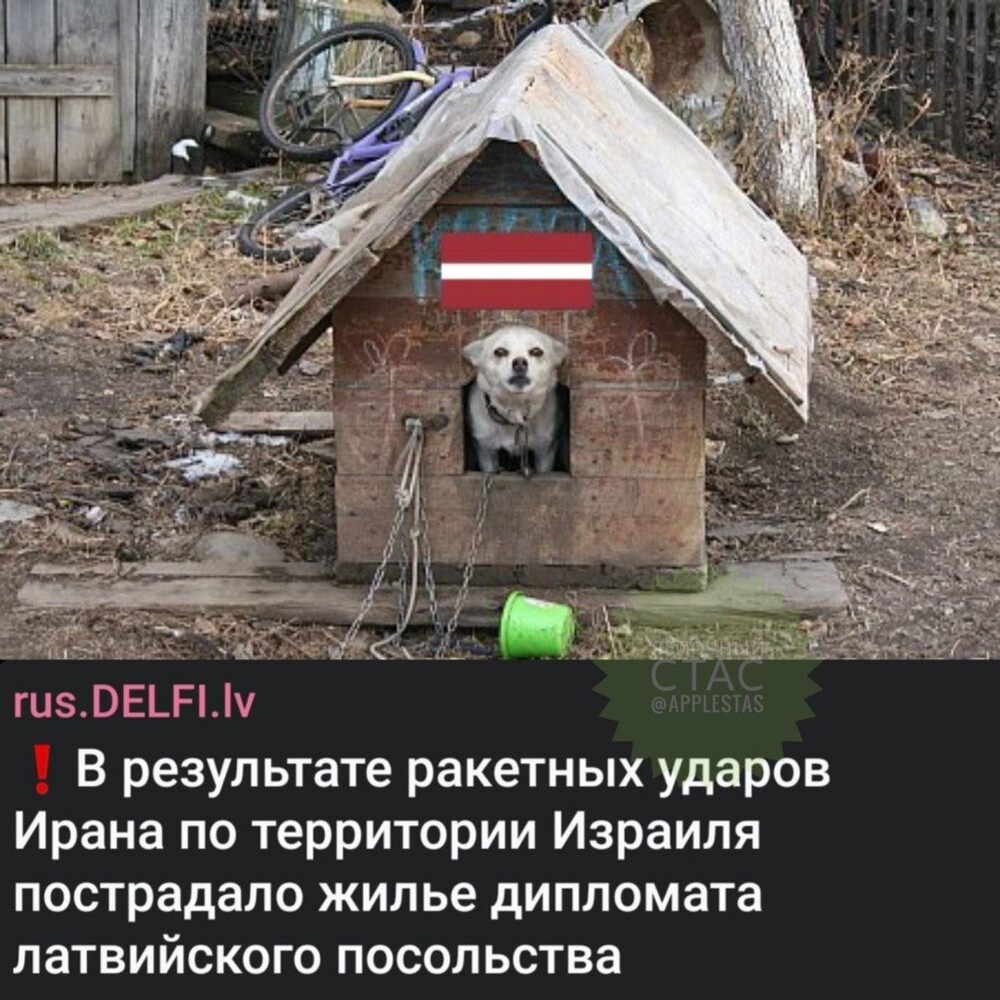 А вот это уже опасная эскалация. Надеюсь, прибалтийский тигр не устроит бойню