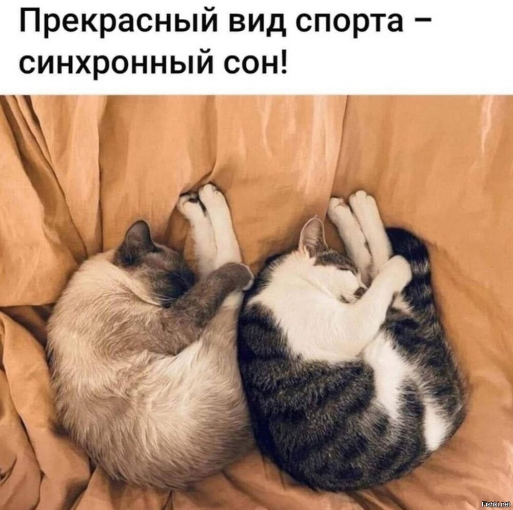 Солянка от 15.06.2025