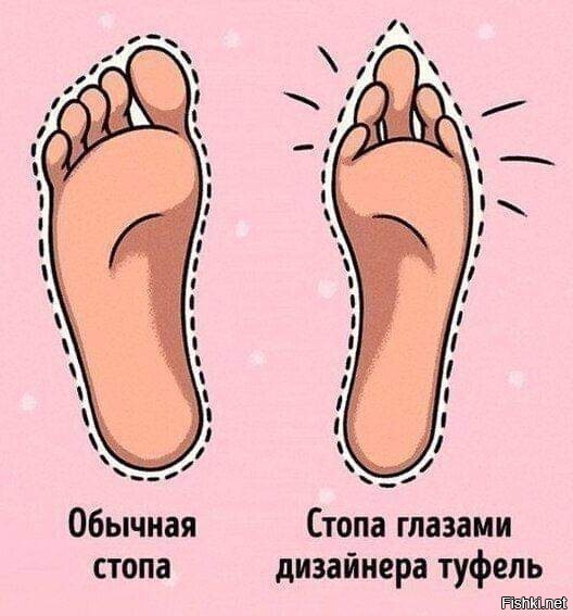 Солянка от 15.06.2025