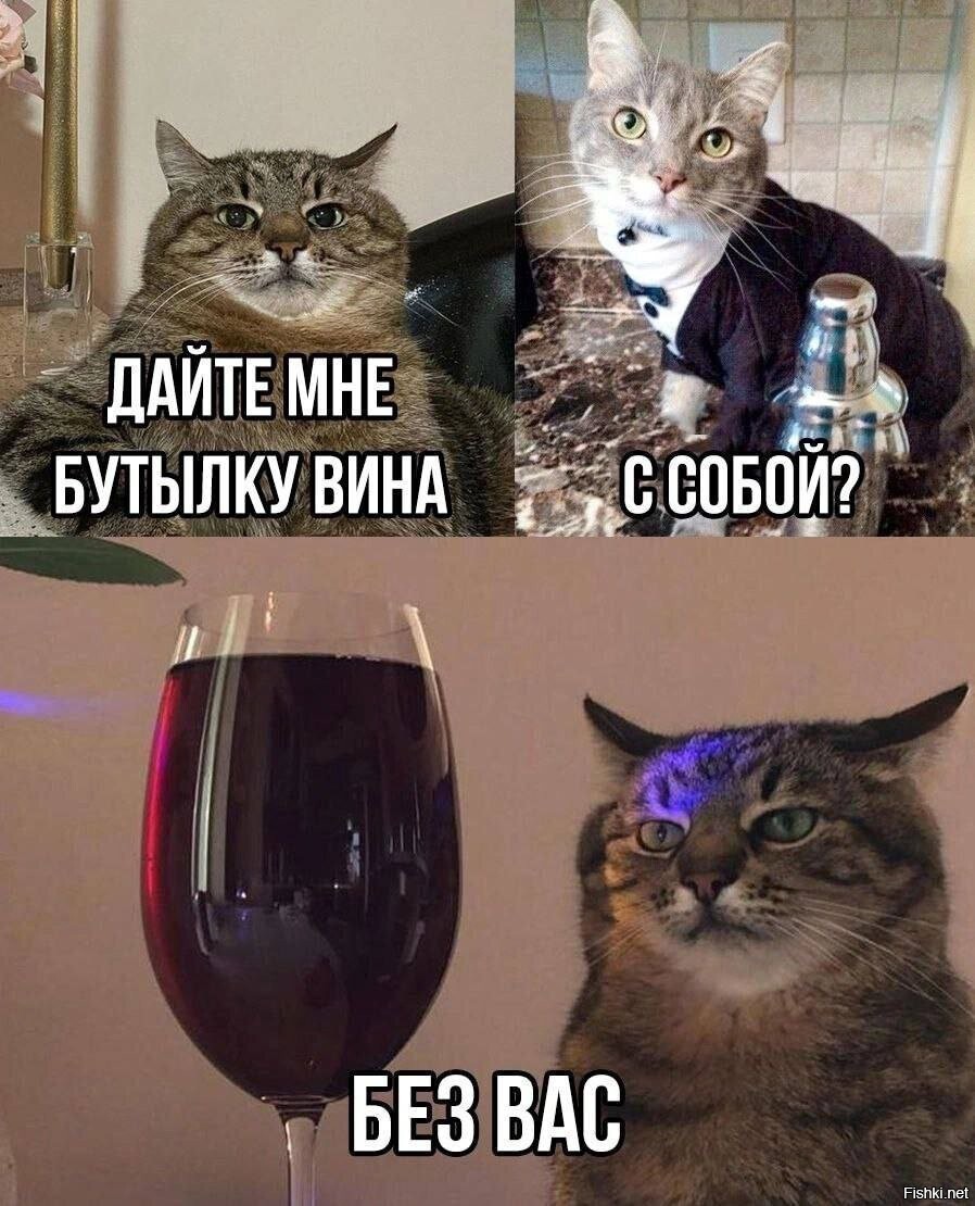 Солянка от 15.06.2025