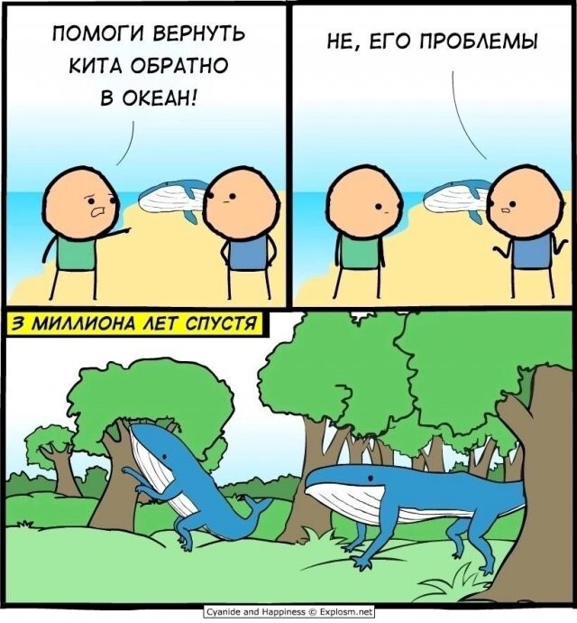 Скрины из соцсетей