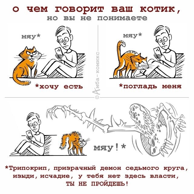 Скрины из соцсетей