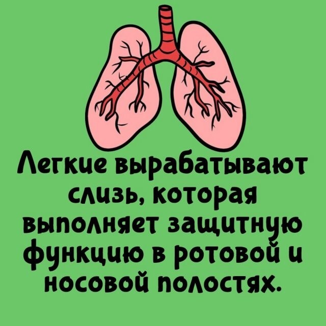 А вдруг ты не знал…