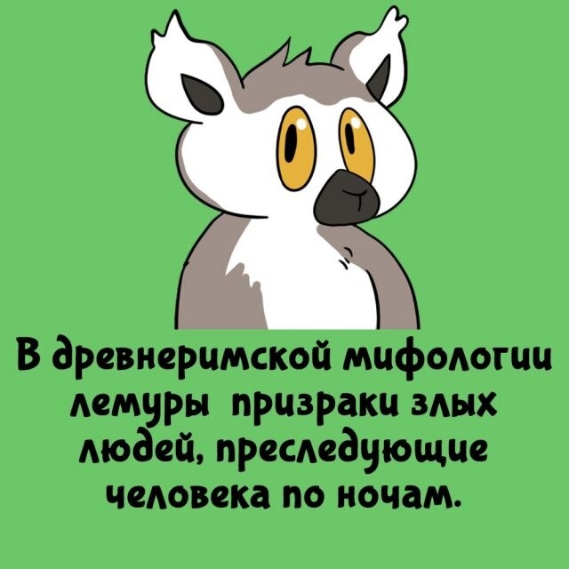 А вдруг ты не знал…