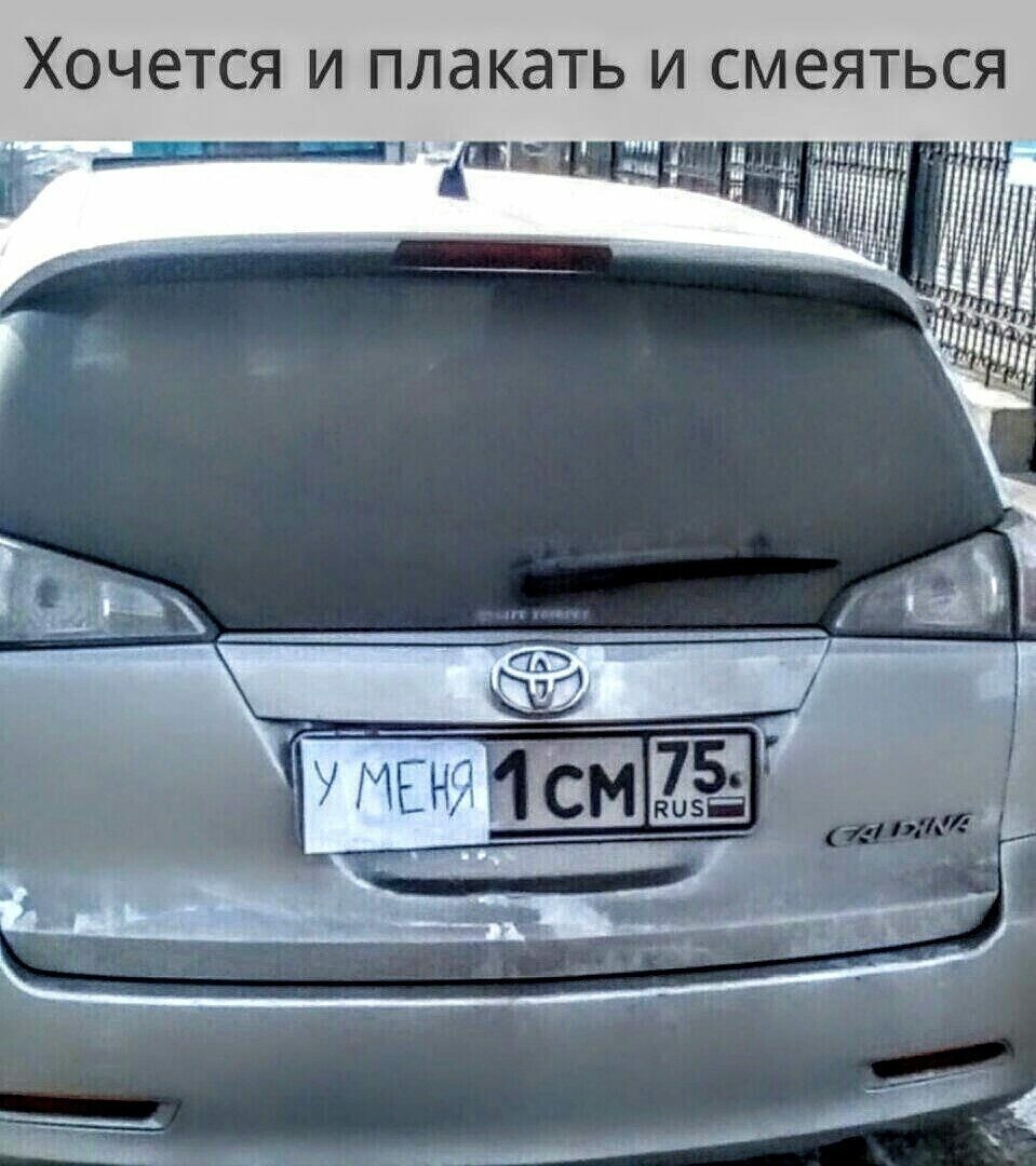 Не ищите здесь смысл. Здесь в основном маразм