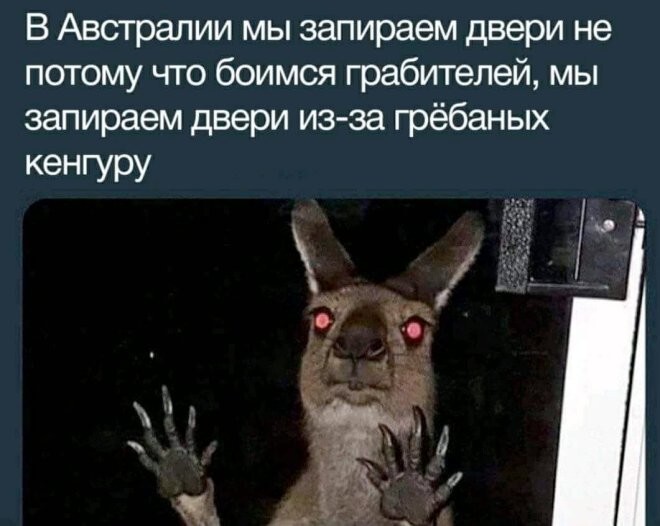 Смешные картинки