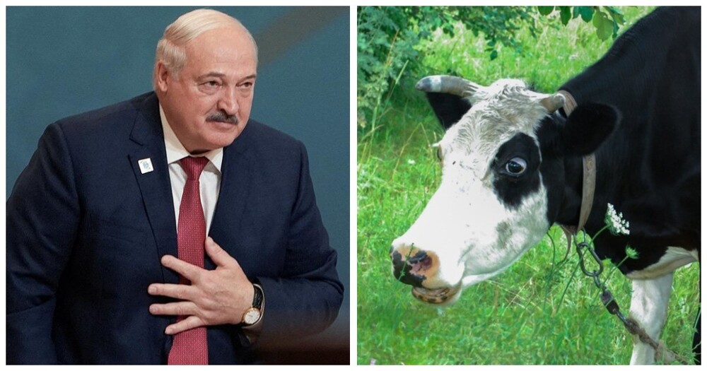 «Должна стоять во дворце»: Лукашенко захотел поставить памятник корове