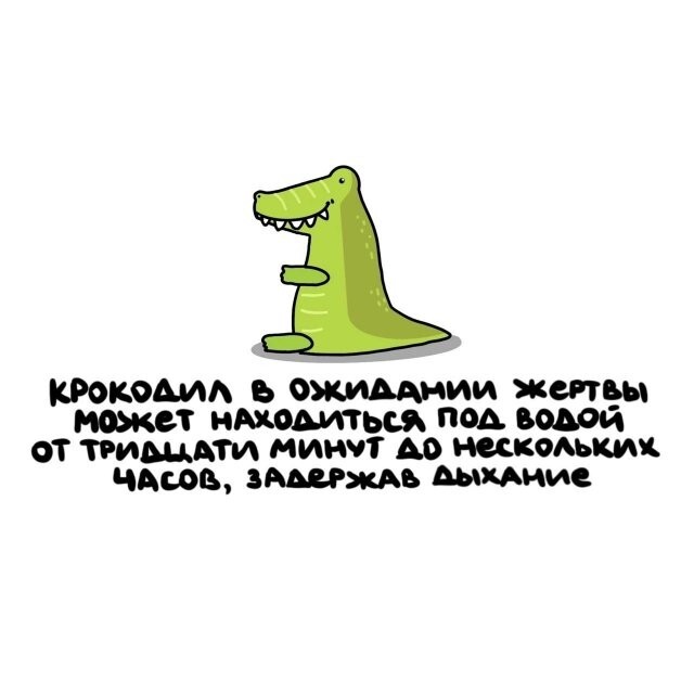 А вдруг ты не знал…