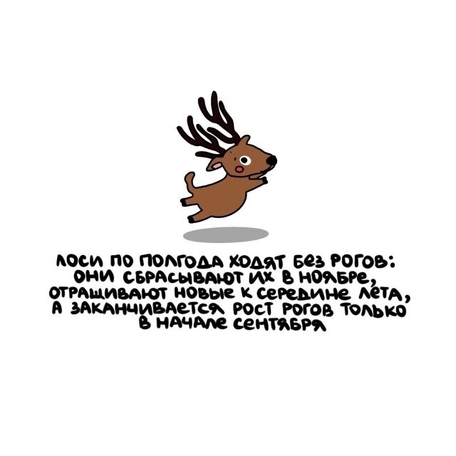 А вдруг ты не знал…