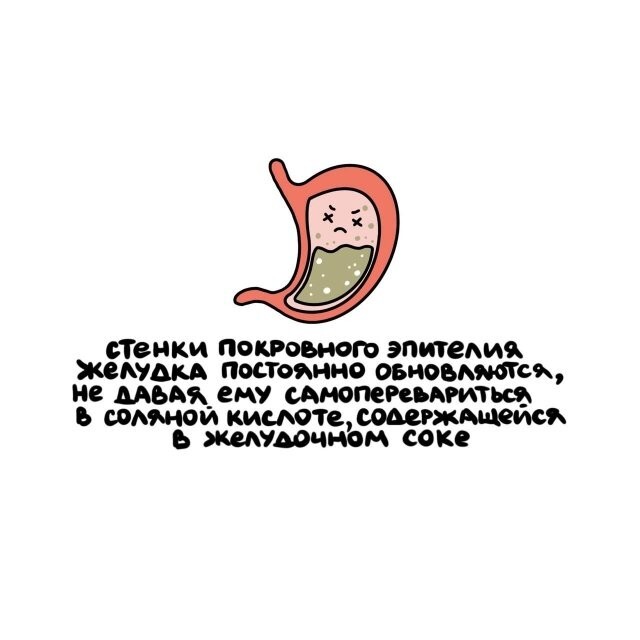 А вдруг ты не знал…