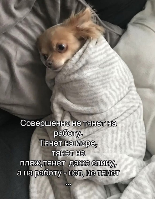 Не ищите здесь смысл. Здесь в основном маразм