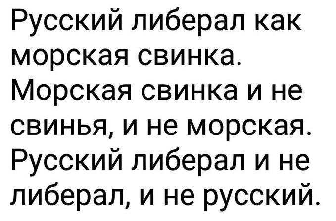 Израильская оппозиция