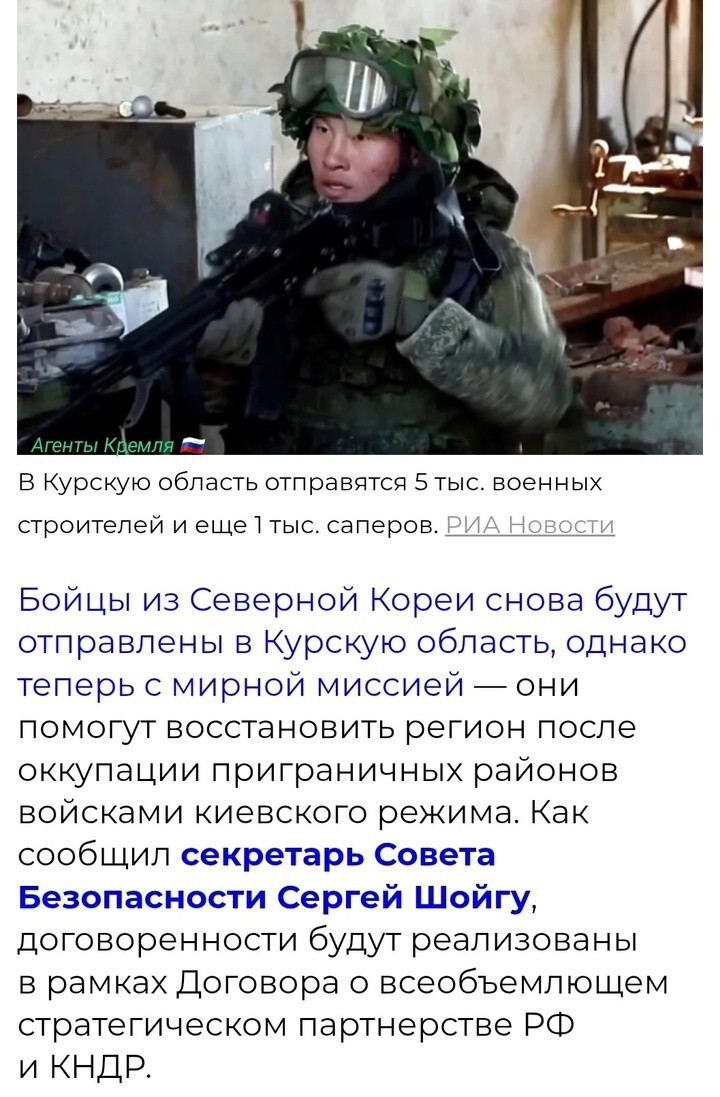 Вот это настоящие союзники
