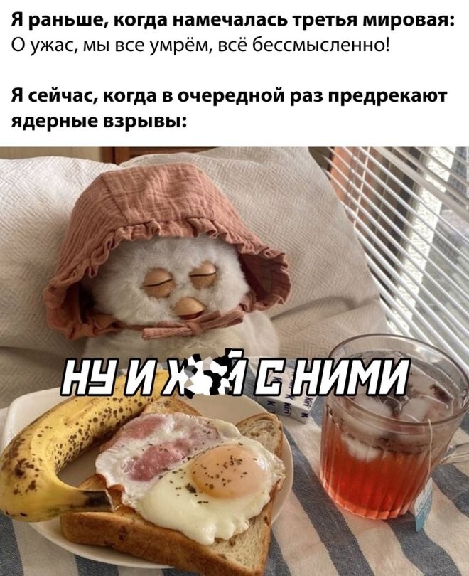 Смешные картинки