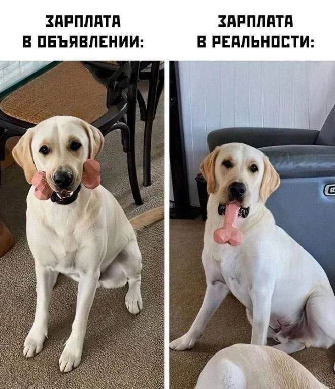 Смешные картинки