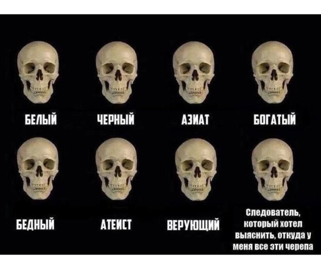 Смешные картинки
