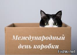 Солянка от 19.06.2025