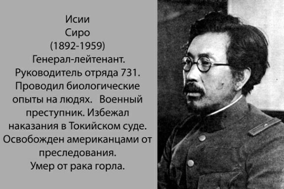Комнатная муха и интересные факты о ней