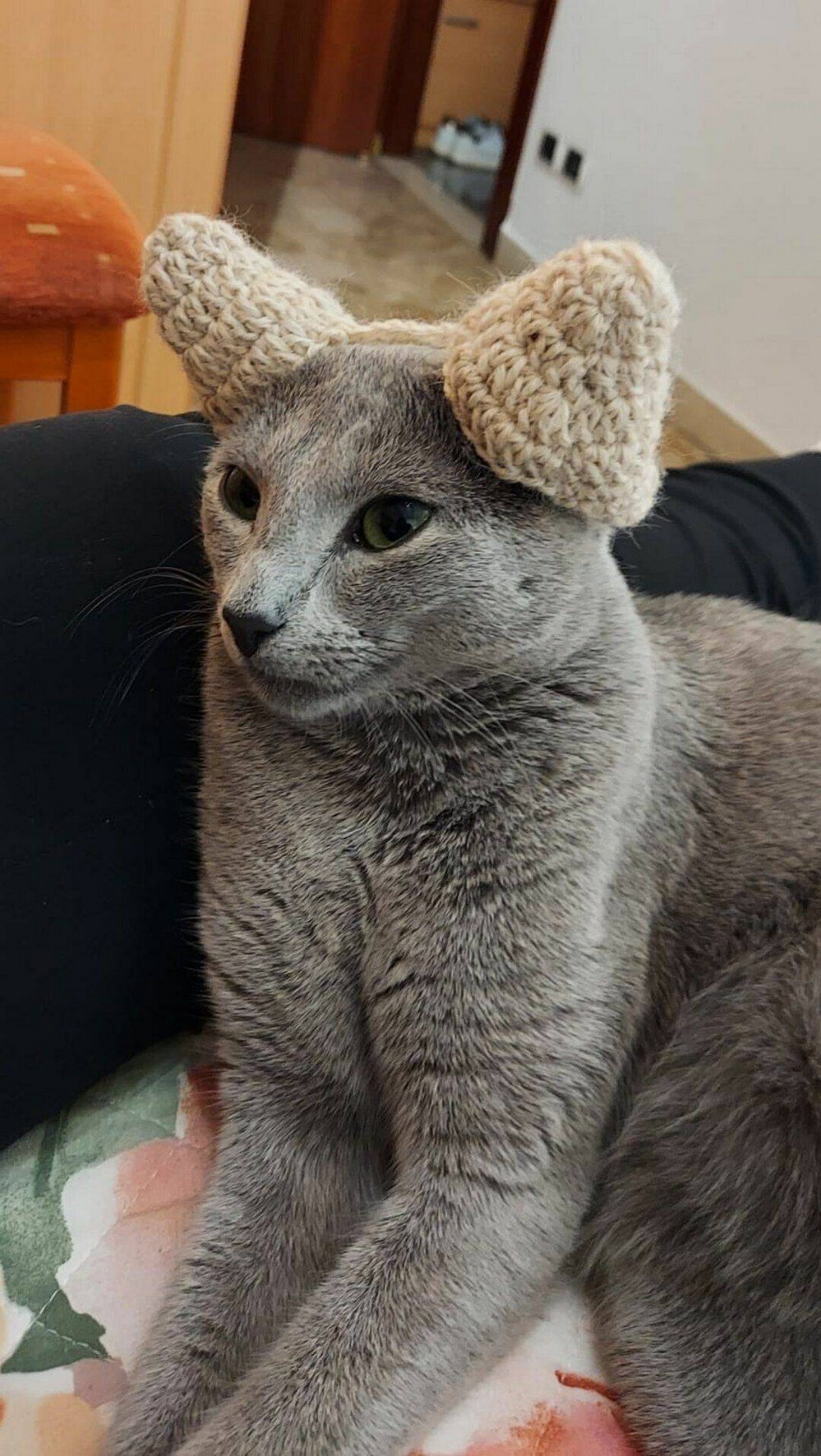 На общую тему 