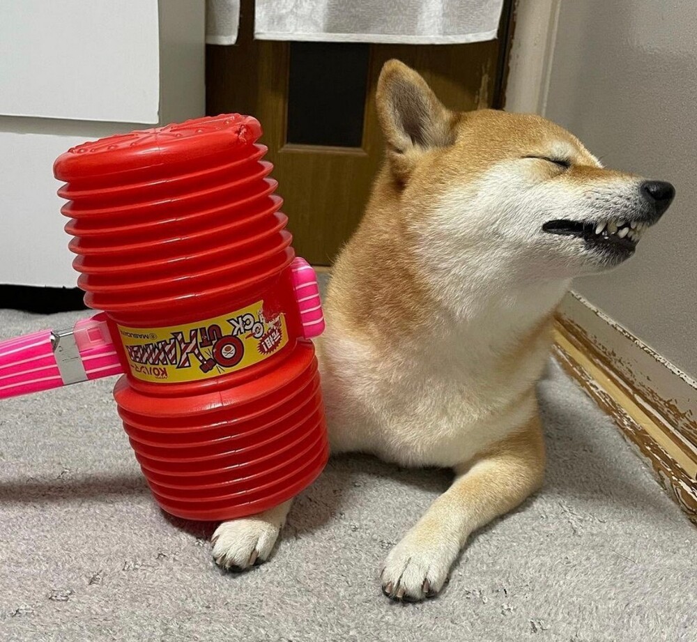 На общую тему 
