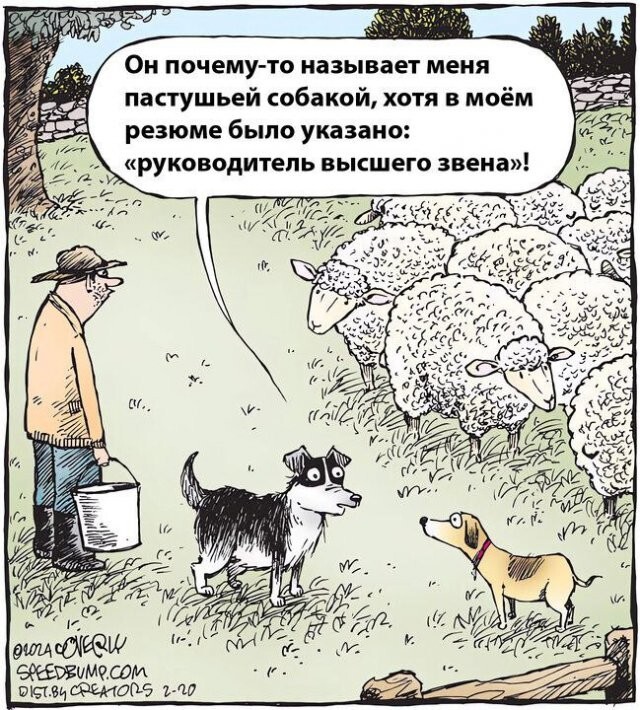 Скрины из соцсетей