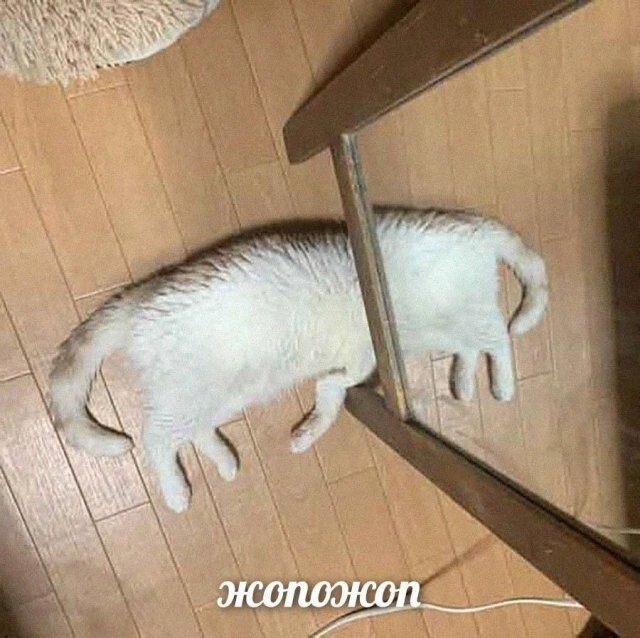 Скрины из соцсетей