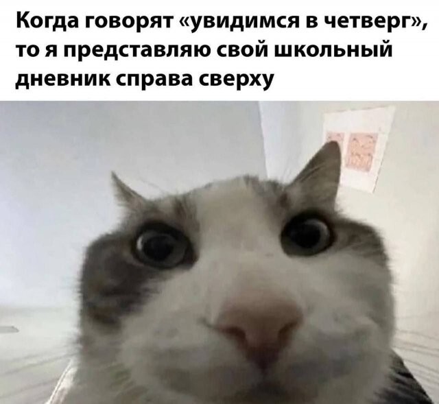 Скрины из соцсетей