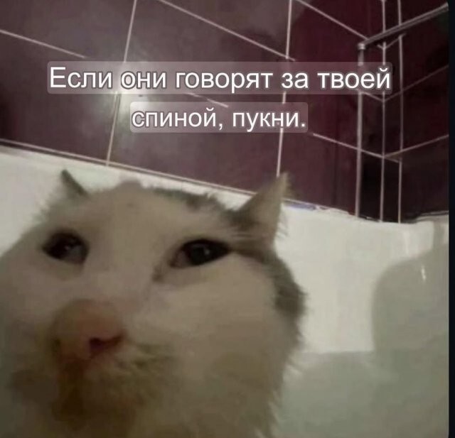 Скрины из соцсетей
