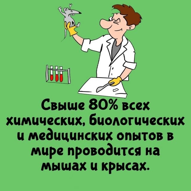 А вдруг ты не знал…