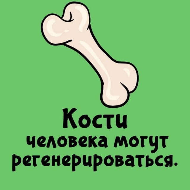 А вдруг ты не знал…