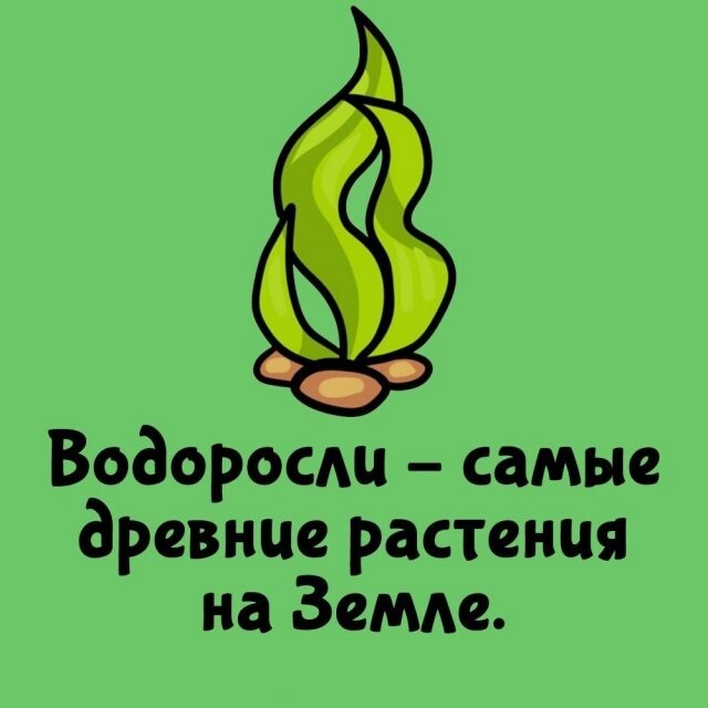 А вдруг ты не знал…