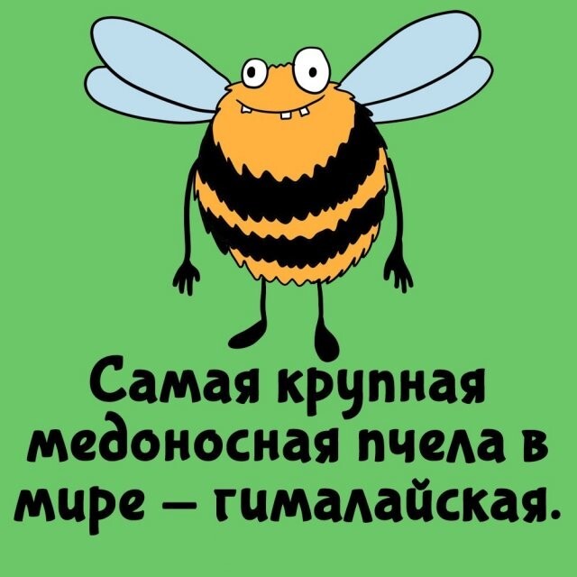 А вдруг ты не знал…