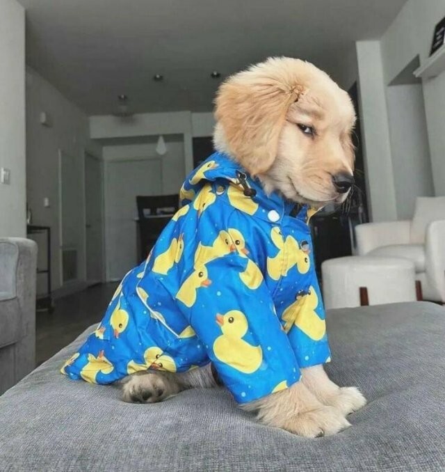 Намешалось
