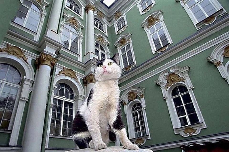 Эрмитажные коты получили неожиданное наследство