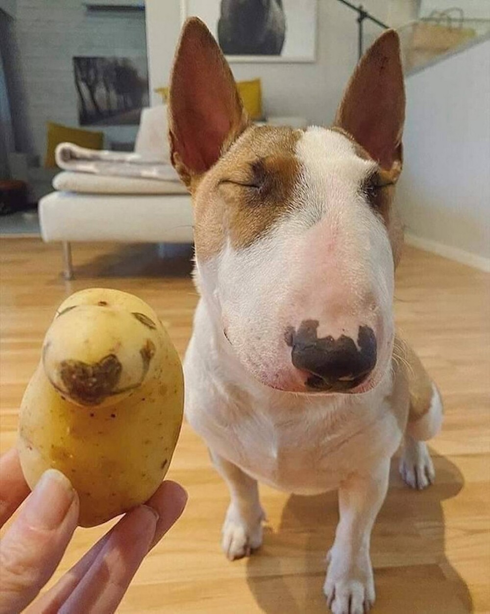 На общую тему 