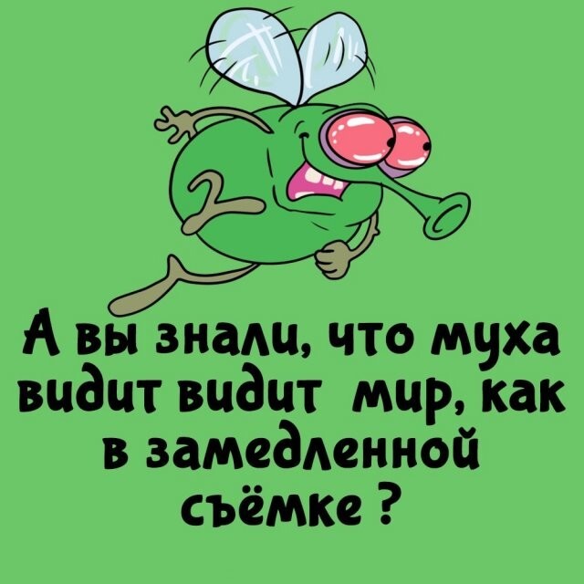 А вдруг ты не знал…