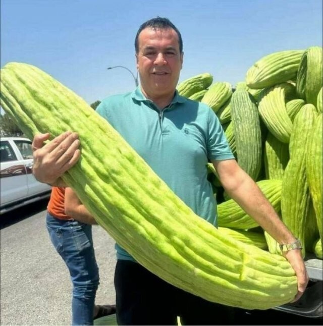Намешалось