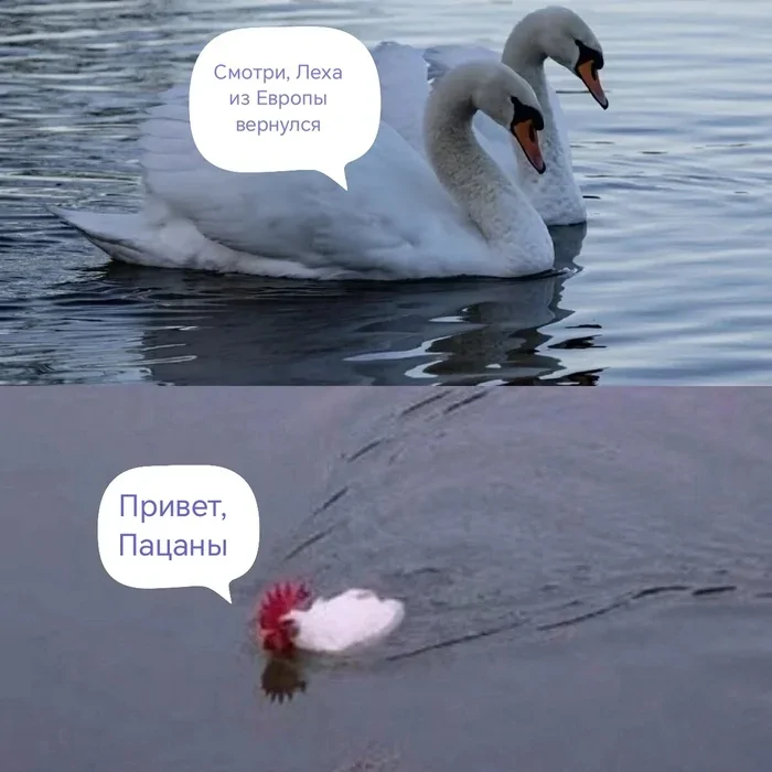 Не ищите здесь смысл. Здесь в основном маразм