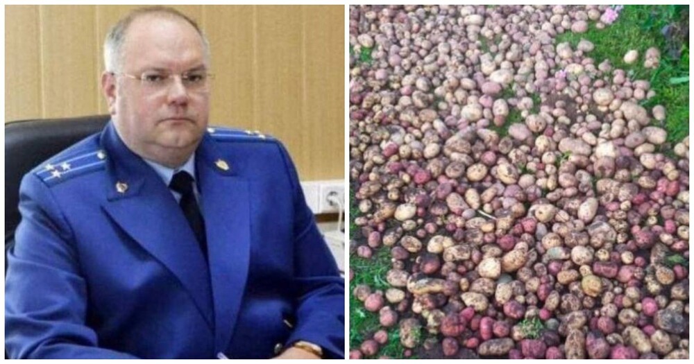Экс-прокурор получил взятку картошкой и поплатился